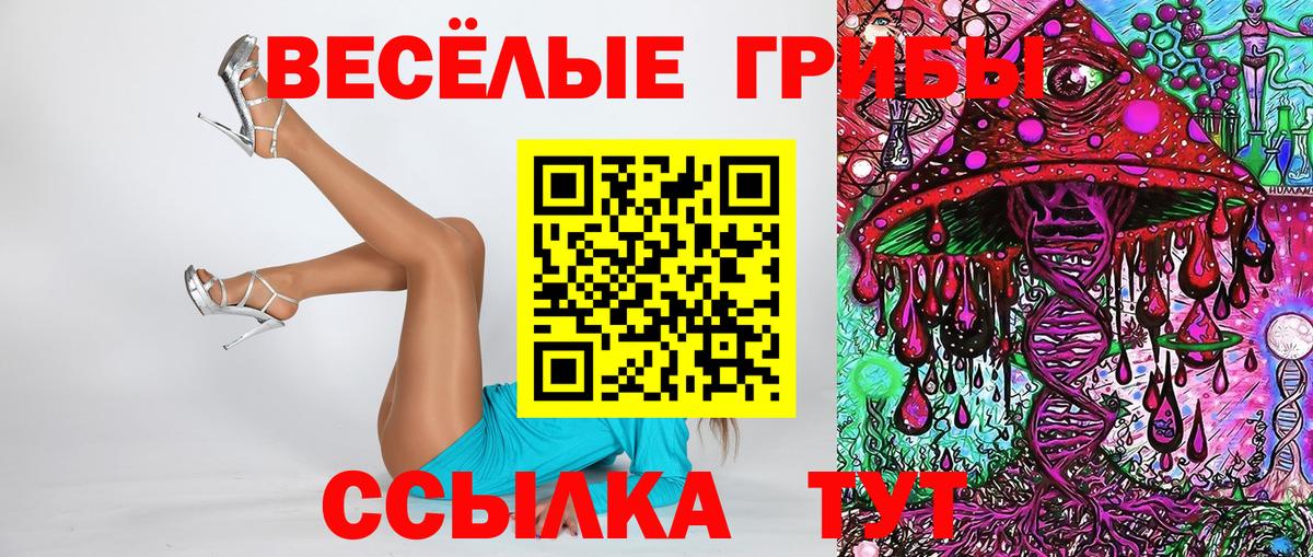 Псилоцибиновые грибы ЛСД  Вход с VPN  Гусиноозёрск 