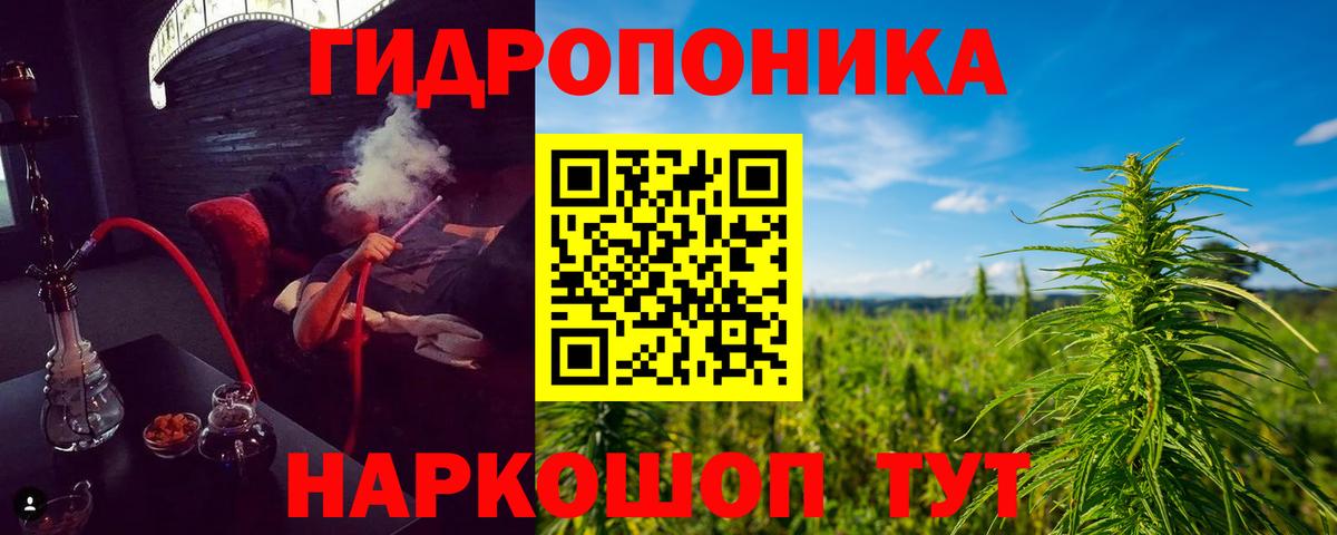 Марихуана Bruce Banner  Канабис ГИДРОПОН  Вход с VPN  Гусиноозёрск  Конопля Bruce Banner 