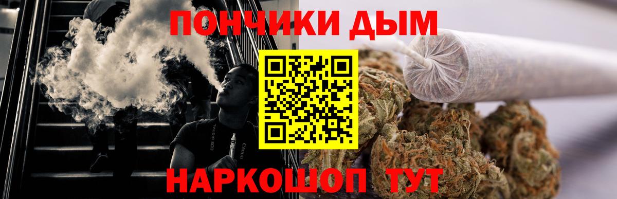 Шишки марихуана план Гусиноозёрск